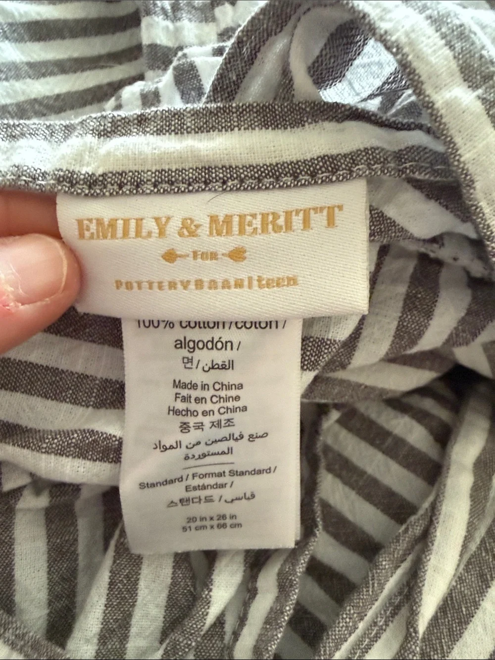 Pottery Barn Teen Gray and White Striped Ruffled Duvet Cover